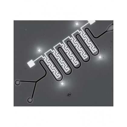 ПО Thermo Scientific NanoBuilder